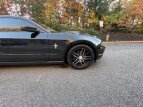 Thumbnail Photo 13 for 2014 Ford Mustang
